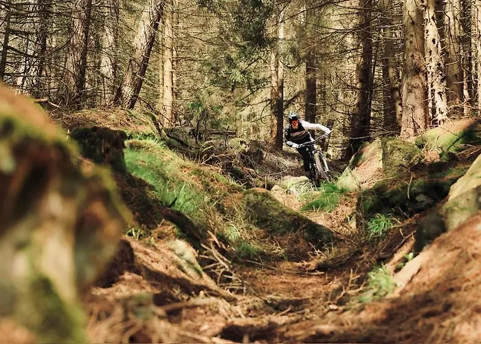 Harztrail לינה וארוחת בוקר אילזנבורג